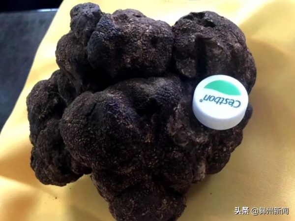 川滇明珠会东网：凉山一共有17个县级市！插图14