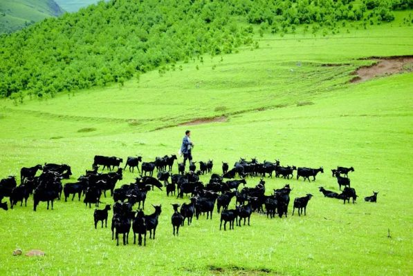 川滇明珠,熠熠生辉插图2 川滇明珠,熠熠生辉插图2
