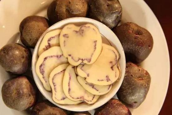 川滇明珠会东县首届黑山羊美食节插图17