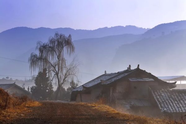 会东旅游景点鲹鱼水乡作文（鲹鱼水乡景区作文推荐）？插图2