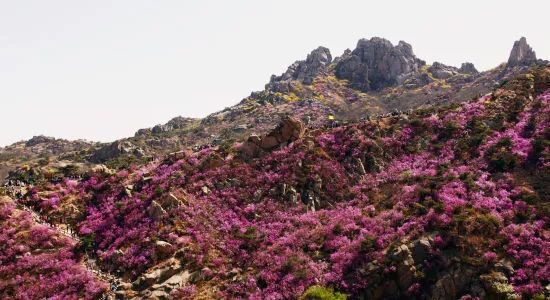 川滇明珠|四川会东县美丽的小城插图3