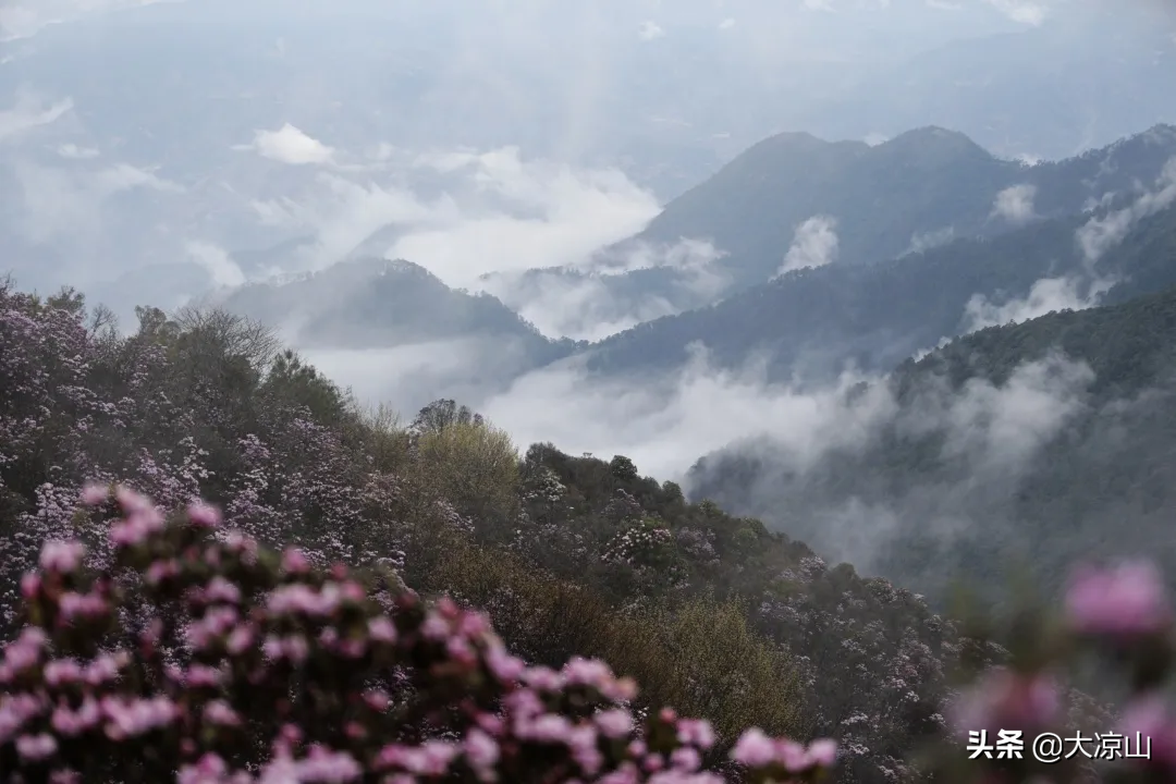 图片[13]-9家景区晋级3A！凉山A级景区再添新成员-会东网