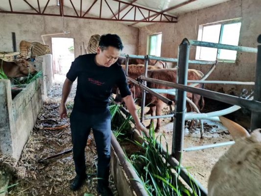 会东县青年人冯玉海回乡创业插图 会东县青年人冯玉海回乡创业插图