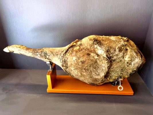 会东县青年人冯玉海回乡创业插图2 会东县青年人冯玉海回乡创业插图2