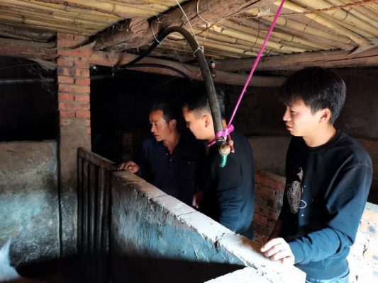 会东县青年人冯玉海回乡创业插图4 会东县青年人冯玉海回乡创业插图4