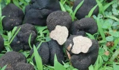 会东金江传媒将面向社会全面征集会东各类美景插图4