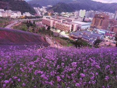 川滇明珠旅游,会东县獭猫山公园插图1 川滇明珠旅游,会东县獭猫山公园插图1
