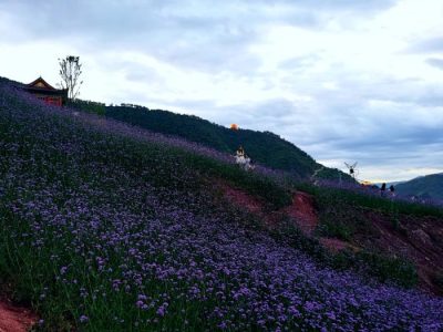 川滇明珠旅游,会东县獭猫山公园插图3 川滇明珠旅游,会东县獭猫山公园插图3