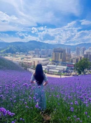 会东县经济发展如何(会东县有钱吗)?插图2 会东县经济发展如何(会东县有钱吗)?插图2