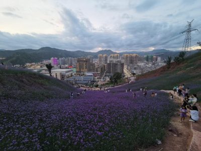 川滇明珠旅游,会东县獭猫山公园插图8 川滇明珠旅游,会东县獭猫山公园插图8