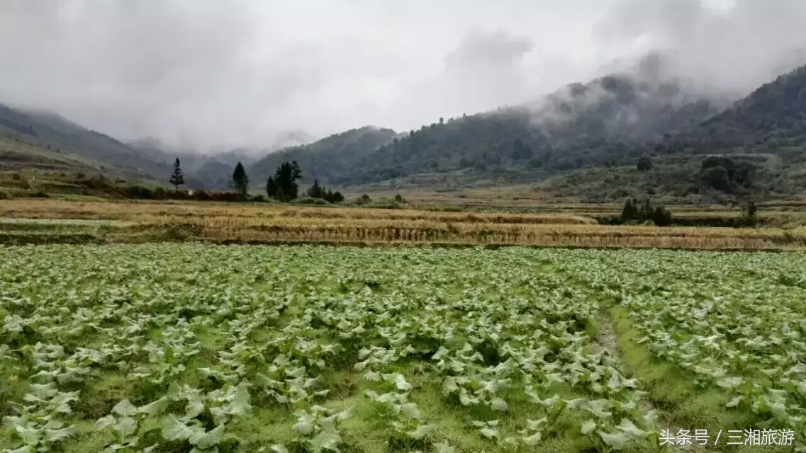 图片[17]-我老家是个千年古镇，除了油菜花，还有很多美景！-会东网