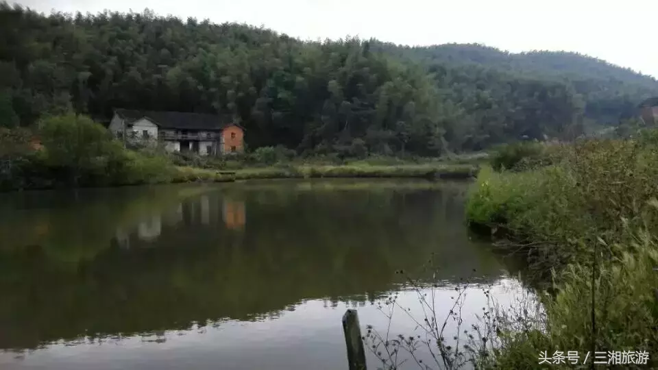 图片[18]-我老家是个千年古镇，除了油菜花，还有很多美景！-会东网