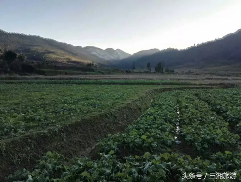 图片[6]-我老家是个千年古镇，除了油菜花，还有很多美景！-会东网