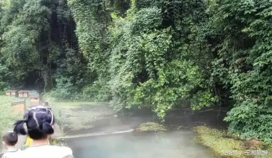 图片[14]-我老家是个千年古镇，除了油菜花，还有很多美景！-会东网