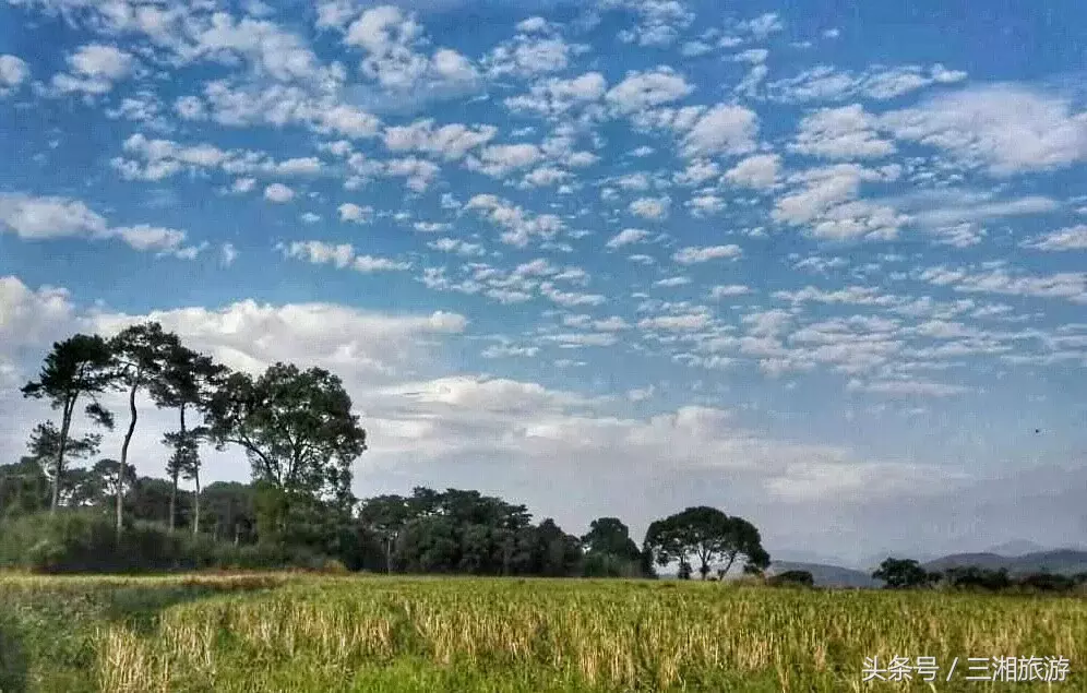 图片[4]-我老家是个千年古镇，除了油菜花，还有很多美景！-会东网