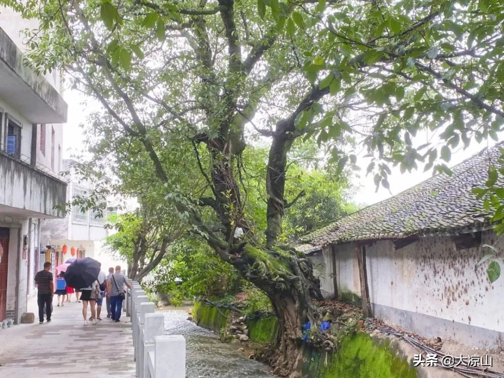 图片[9]-9家景区晋级3A！凉山A级景区再添新成员-会东网