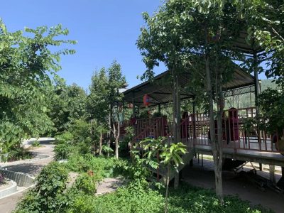 会东县鱼城街道鱼山社区——真抓实干抢机遇转型产业促发展插图4