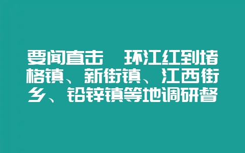 要闻直击丨环江红到堵格镇、新街镇、江西街乡、铅锌镇等地调研督导防汛防地灾、烤烟生产等工作-会东网