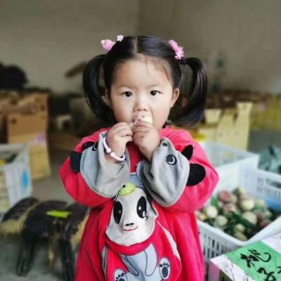 图片[12]-大凉山会东大桥镇龙凤山丑冬桃成熟季，一起来尝鲜喽！49.9元全国包邮到家！-会东网