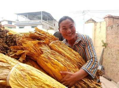 会东县土特产(会东县特色农产品)?插图1 会东县土特产(会东县特色农产品)?插图1