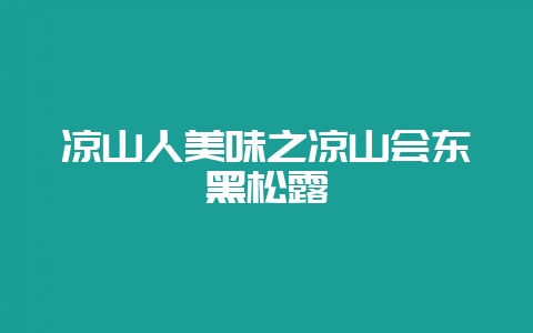 凉山人美味之凉山会东黑松露-会东网