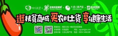 图片[13]-会东县常住人口346082人！-会东网