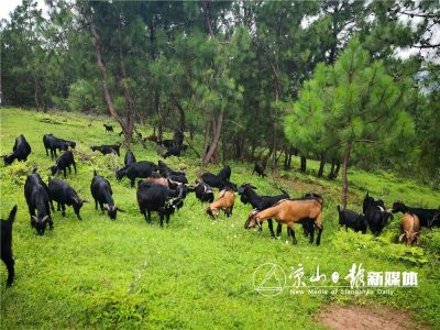 图片[4]-会东县第三届“双黑”美食文化节即将开幕-会东网