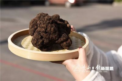 图片[6]-会东县第三届“双黑”美食文化节即将开幕-会东网