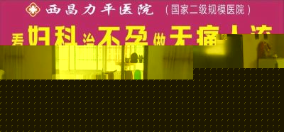 图片[2]-会东县第三届“双黑”美食文化节即将开幕-会东网
