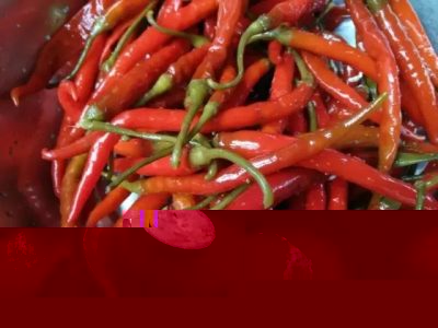 会东：美食嘎吉泡海椒插图1