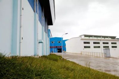 凤凰涅槃破茧成蝶会东县大梁矿业改制结硕果插图3