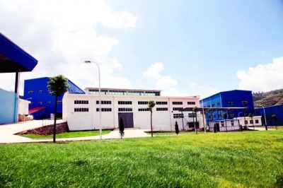 凤凰涅槃破茧成蝶会东县大梁矿业改制结硕果插图5