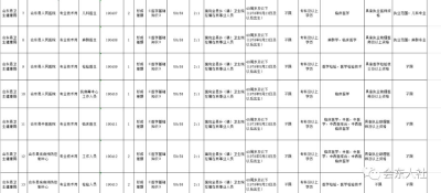 图片[2]-会东县人力资源和社会保障局会东县卫生健康局2019年卫生健康系统公开考调工作人员公告-会东网