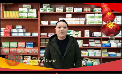 图片[8]-《大桥镇》2019新春团拜系列视频-会东网