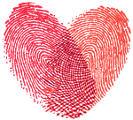 凤凰涅槃破茧成蝶会东县大梁矿业改制结硕果插图9