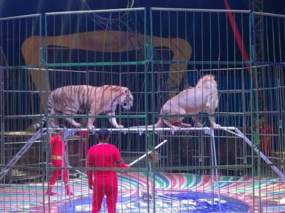 春节去哪玩?2017西昌会东国际美食节暨五国皇家大马戏嘉年华,!!插图4 春节去哪玩?2017西昌会东国际美食节暨五国皇家大马戏嘉年华,!!插图4