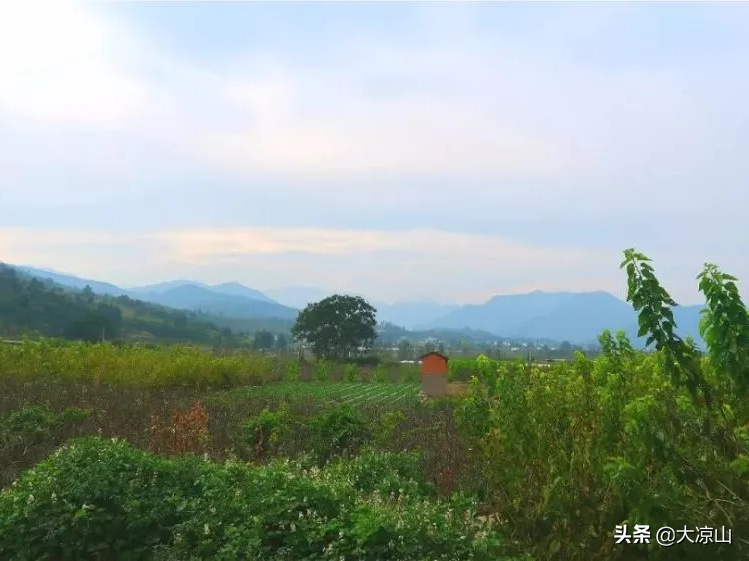 图片[10]-9家景区晋级3A！凉山A级景区再添新成员-会东网