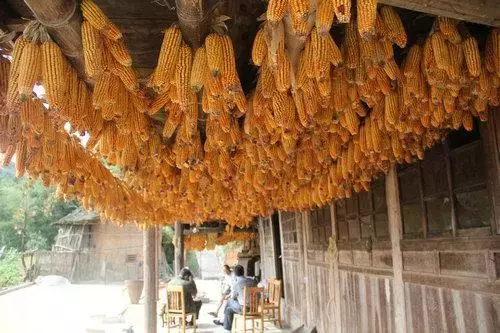 作文写美丽会东美食美景(会东县关于美食作文)插图1 作文写美丽会东美食美景(会东县关于美食作文)插图1