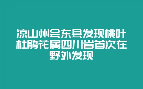 凉山州会东县发现桃叶杜鹃花属四川省首次在野外发现-会东网