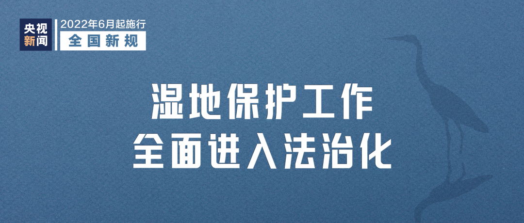 图片[4]-6月起，这些新规将影响你我生活-会东网