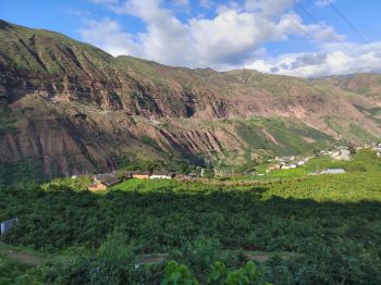 会东县铁柳镇六月芒果飘香插图11