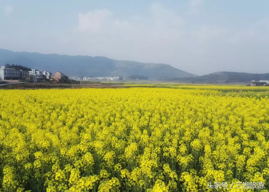我老家是个千年古镇，除了油菜花，还有很多美景！-会东网