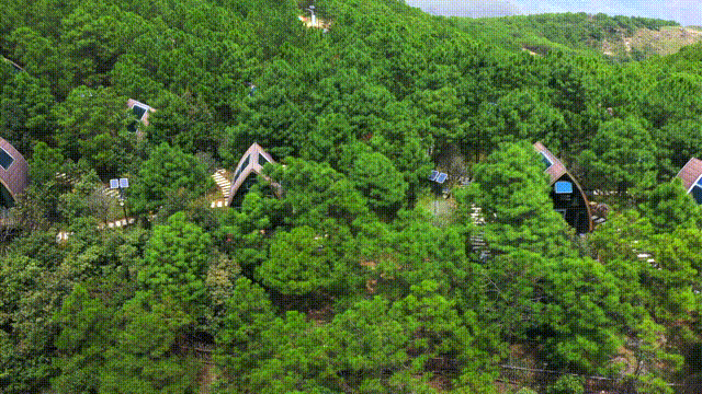 图片[7]-魅力会东森林酒店、夜阑观星、山居看云……去“巴蜀南来第一峰”觅安宁！-会东网