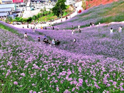 川滇明珠旅游,会东县獭猫山公园-会东网