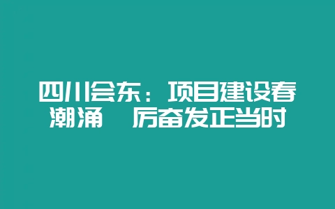 四川会东：项目建设春潮涌踔厉奋发正当时-会东网