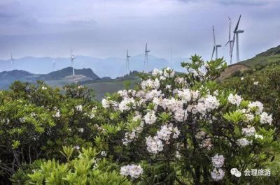 图片[16]-魅力会理｜一段旅程，多种体验，“五一”来会理就对了！-会东网