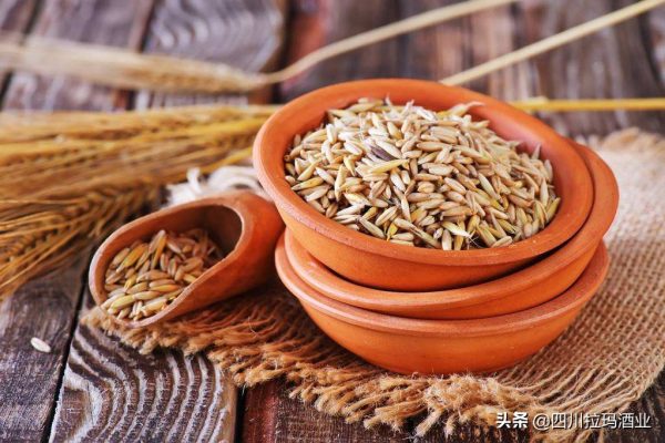 图片[8]-拉玛燕麦酒之——燕麦-会东网