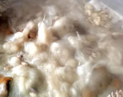 会东县黑山羊美食(推荐会东堵格镇羊肉汤锅)-会东网