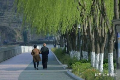图片[1]-双黑珍馐凉山会东县双黑美食文化节超强来袭（2021年）-会东网
