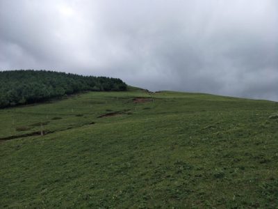 夹马石,一个原汁原味的自然景观,无门票,少有人知,消夏好去处插图10 夹马石,一个原汁原味的自然景观,无门票,少有人知,消夏好去处插图10